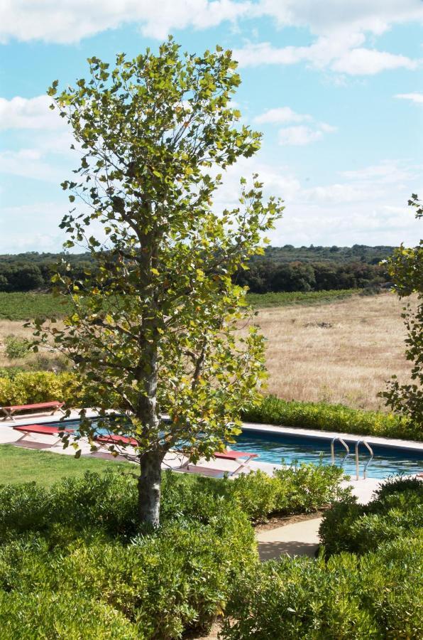 Village Castigno - Wine Hotel & Resort Assignan Bagian luar foto